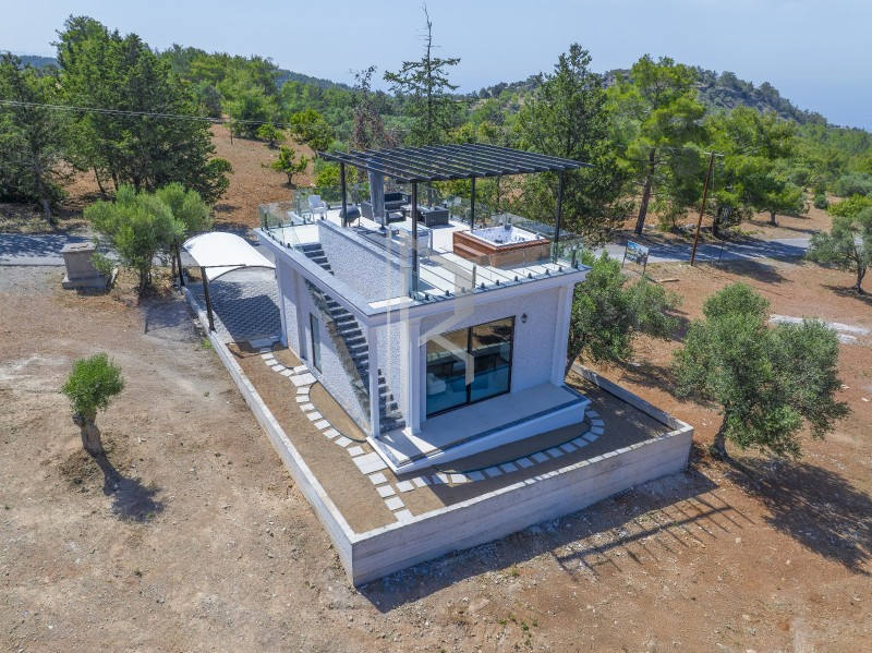 Da Vinci Mountainside Chalet